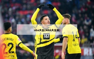 nba大全(NBA大全画)