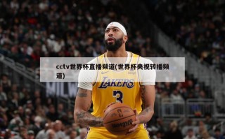 cctv世界杯直播频道(世界杯央视转播频道)