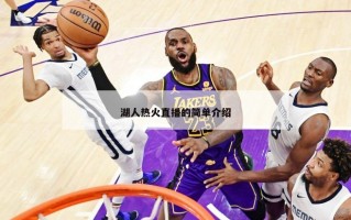 湖人热火直播的简单介绍