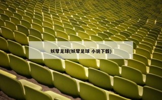 ***足球(***足球 ***下载)