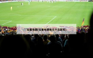 拉里布朗(拉里布朗有几个总冠军)