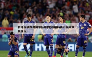 张继科被踢出国家队原因(张继科离开国家队的原因)