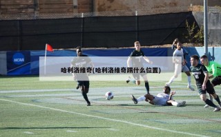 哈利洛维奇(哈利洛维奇踢什么位置)