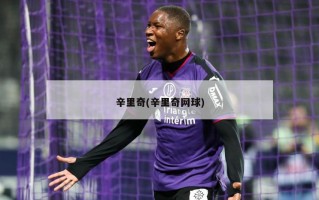 辛里奇(辛里奇网球)