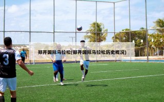 郑开国际马拉松(郑开国际马拉松历史概况)