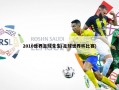 2010世界足球先生(足球世界杯比赛)