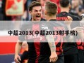 中超2013(中超2013射手榜)