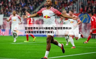 蓝球世界杯2019赛程表(篮球世界杯2019赛程冠军是哪个国家)