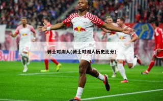 骑士对湖人(骑士对湖人历史比分)