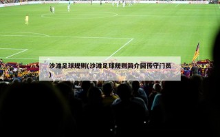 沙滩足球规则(沙滩足球规则简介回传守门员)
