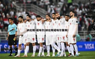 纳伦斯-诺埃尔(纳伦斯诺埃尔集锦)
