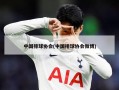 中国排球协会(中国排球协会微博)