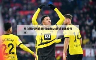 马尔默vs天狼星(马尔默vs天狼星比分预测)
