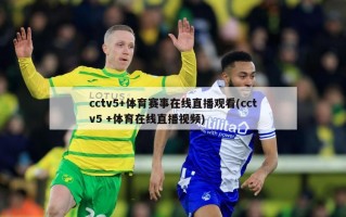 cctv5+体育赛事在线直播观看(cctv5 +体育在线直播***)