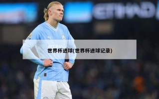世界杯进球(世界杯进球记录)