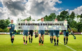世界杯法国对阿根廷(世界杯法国对阿根廷比分)
