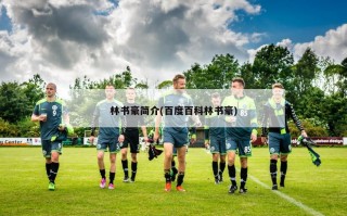 林书豪简介(百度百科林书豪)