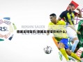德国足球宝贝(德国足球宝贝叫什么)