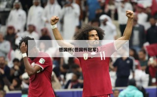 德国杯(德国杯冠军)