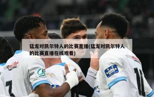猛龙对凯尔特人的比赛直播(猛龙对凯尔特人的比赛直播在线观看)