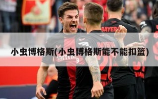 小虫博格斯(小虫博格斯能不能扣篮)
