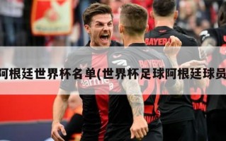 阿根廷世界杯名单(世界杯足球阿根廷球员)