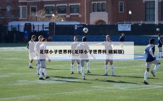 足球小子世界杯(足球小子世界杯 破解版)