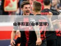 山羊扣篮(山羊篮球)
