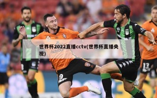 世界杯2022直播cctv(世界杯直播央视)