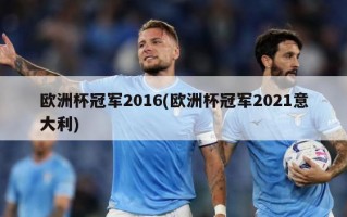 欧洲杯冠军2016(欧洲杯冠军2021意大利)