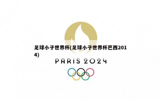 足球小子世界杯(足球小子世界杯巴西2014)