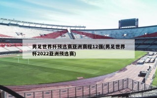 男足世界杯预选赛亚洲赛程12强(男足世界杯2022亚洲预选赛)