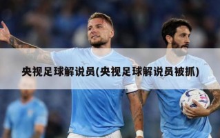 央视足球解说员(央视足球解说员被抓)