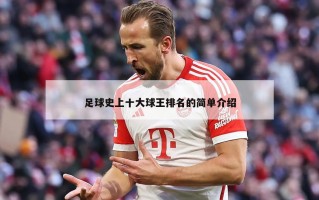 足球史上十大球王排名的简单介绍