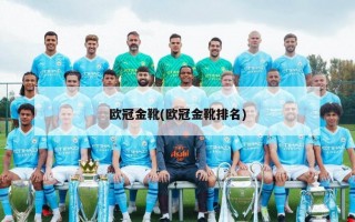 欧冠金靴(欧冠金靴排名)
