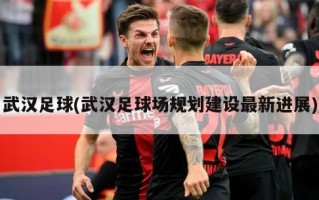 武汉足球(武汉足球场规划建设最新进展)