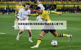 马努吉诺比利(马努吉诺比利进入名人堂了吗)