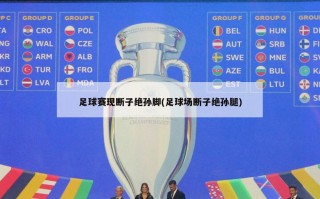 足球赛现断子绝孙脚(足球场断子绝孙腿)