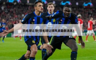 羽毛球让球(羽毛球让球风波最新消息)