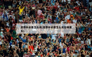 世界杯彩票怎么买(世界杯彩票怎么买在哪里买)