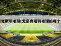尤尼克斯羽毛球(尤尼克斯羽毛球拍哪个系列好)
