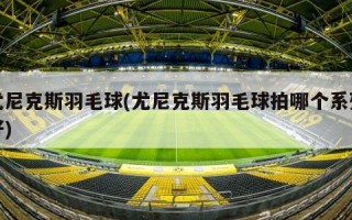 尤尼克斯羽毛球(尤尼克斯羽毛球拍哪个系列好)
