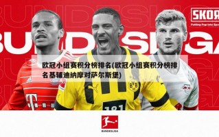 欧冠小组赛积分榜排名(欧冠小组赛积分榜排名基辅迪纳摩对萨尔斯堡)