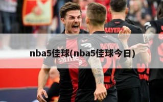 nba5佳球(nba5佳球今日)