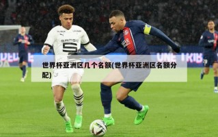 世界杯亚洲区几个名额(世界杯亚洲区名额分配)