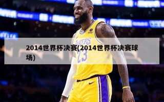 2014世界杯决赛(2014世界杯决赛球场)