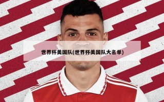世界杯美国队(世界杯美国队大名单)