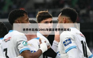 世界杯出线(2001年国足世界杯出线)