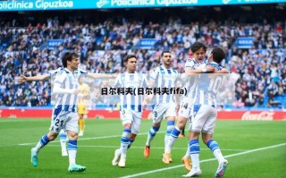日尔科夫(日尔科夫fifa)