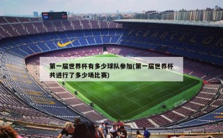 第一届世界杯有多少球队参加(第一届世界杯共进行了多少场比赛)
